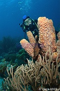 Ambiance Catherine-Bonaire South Bay-19m-20180218-Denis-ADER-DSC_6504_tn